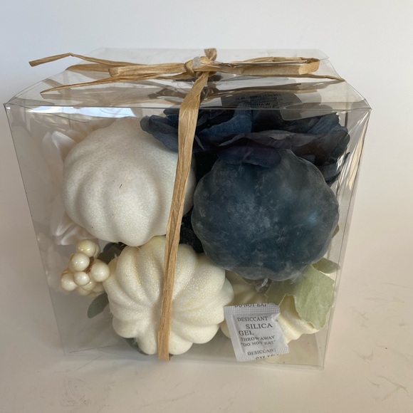 Thanksgiving 20 Piece Pumpkins & Gourds Blue/Cream Mix - Picture 2 of 5